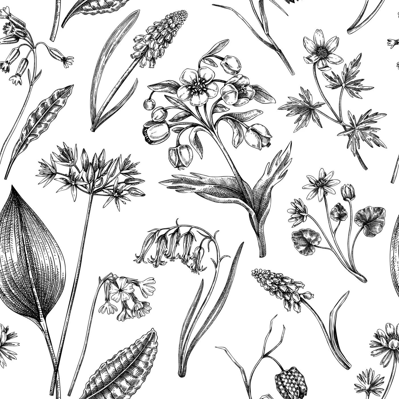 Spring flowers seamless pattern. Wildflowers background. Forest plant, greenery, wild flowers sketches. Hand drawn vector illustration. Not AI-generated Illustration